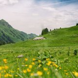 L'agriculture de montagne particulièrement touchée par les conditions de travail difficile (photo d'illustration)